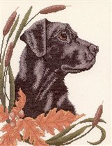 Candamar Black Lab & Cattails