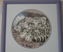 Snow Leopard Cubs (Dim)