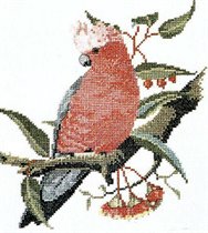 Ross Originals Galah