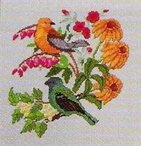 from magazine-Warbler & Bunting