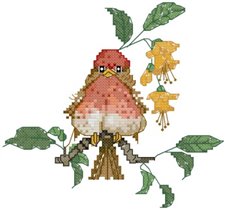 CSW Purple Finch