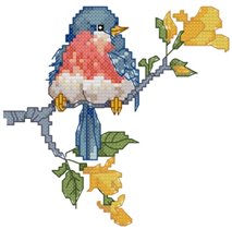 CSW Eastern Bluebird