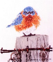 Bucilla Mad Blue Bird