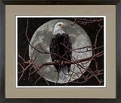 13688 eagle in moonlight