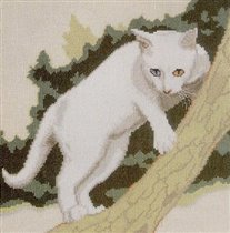 White Cat in Tree