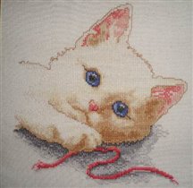 Vervaco Endearing Cat