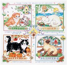 Vermillion Four Seasons Cats