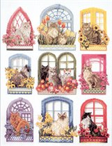 Vermillion Flower Box Cats