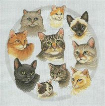 Sunset Circle of Friends