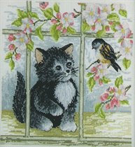 SH Spring & Summer Cat