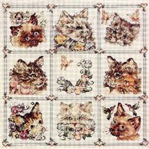 SC Cat Sampler