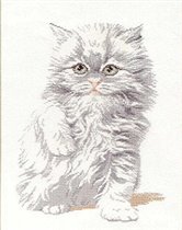 Pako Persian 235-235