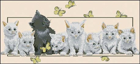 OOE Butterfly Kitties