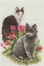 Lanarte Franciens 90-159