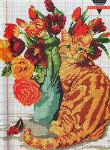 L. Colbert Orange Tabby