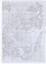 White bindweed fairy sch1