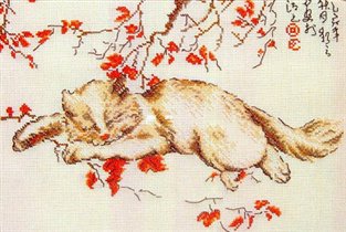 Kowku Sleeping Cat