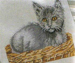 Kitten in Basket