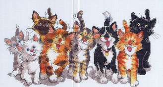 Janlynn Tails of Duckport