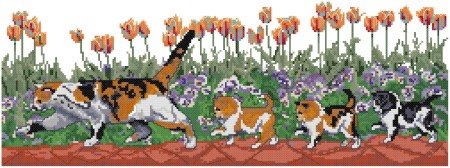 J. Crews Cats on Parade