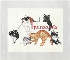 House Cats