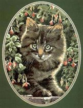 Heritage/Stubbs Tabby Kitten