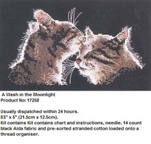 A Wash in the Moonlight