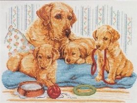 Anchor Golden Lab Family