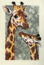 Dim. Someone To Look Up To