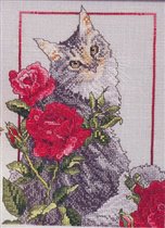 Vermillion Rosie the Cat