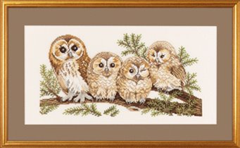 14146 Owl Family