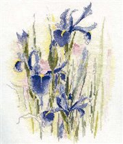 Irises Watercolour by Derwentwater