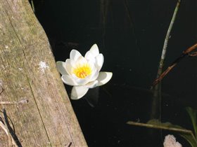 Озеро Серменок