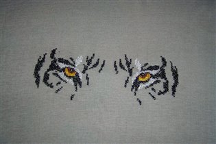 Глаза    тигра