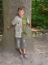 Илья у огромного дерева в Аскании