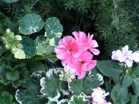 'Третий слой'