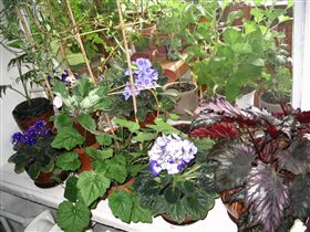 Подоконник перед балконом