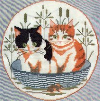 Cat Plate 4