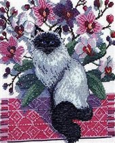 DMC Siamese in Flowers