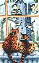 Dim. Whos Watching Whom