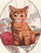 Dim. Purrfect Playthings