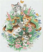 Dim. Playful Kitties