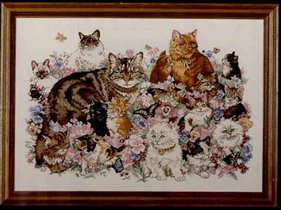 Dim. Feline Fascinations