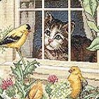 Dim. Charming Bird Watcher