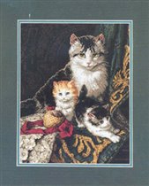 Dim. Captivating Felines