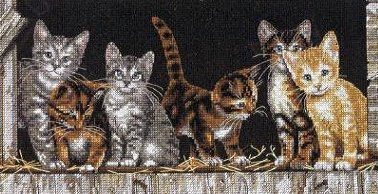 Dim. Barnyard Kitties