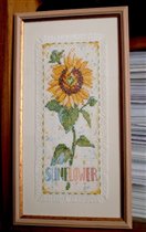 Daydreams 72718 Sunflower Confetti