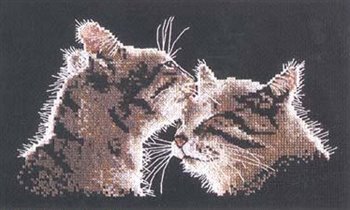 CMH A Wash in the Moonlight