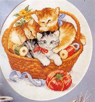 Basket of Kittens