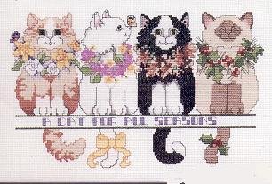 ASN A Cat for All Seasons